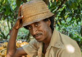 Renascer - Evaldo Macarrão