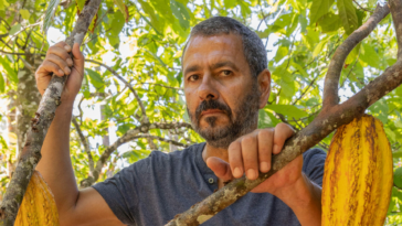 Renascer - Marcos Palmeira