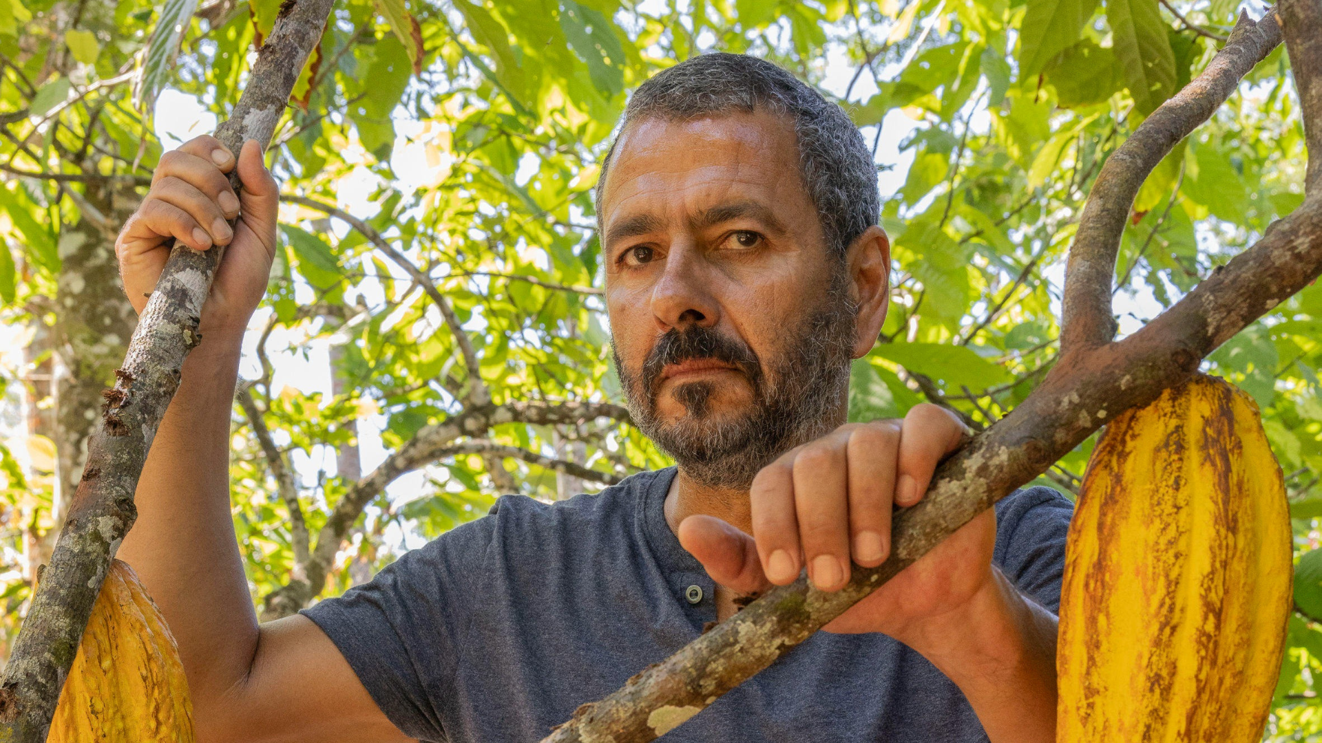 Renascer - Marcos Palmeira