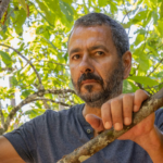 Renascer - Marcos Palmeira