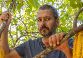 Renascer - Marcos Palmeira