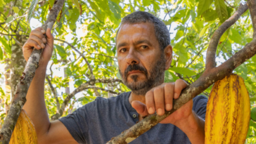 Renascer - Marcos Palmeira