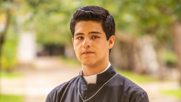 Amor Perfeito - Paulo Mendes