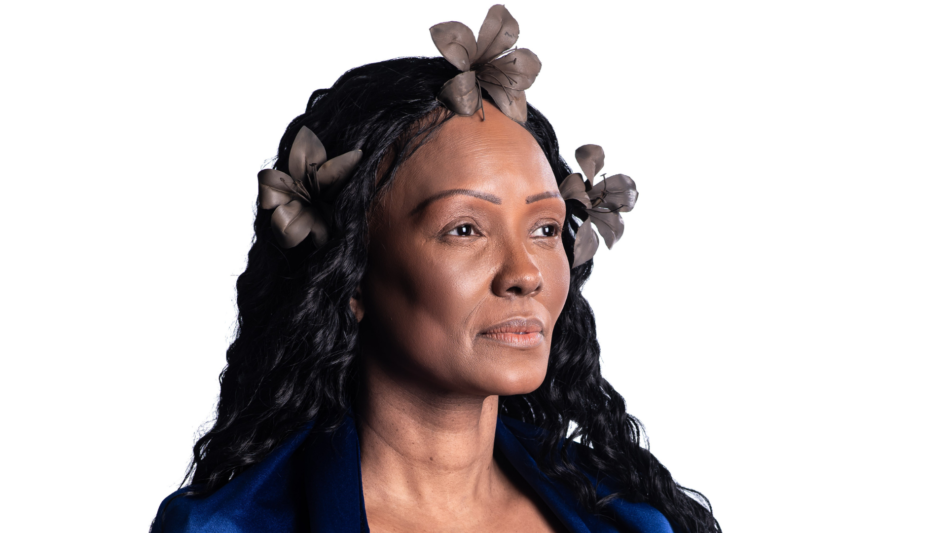 Aparecida - Entre a Fé e o Milagre - Isabel Fillardis