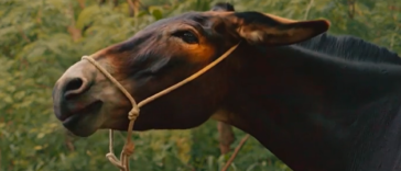 Êta Mundo Melhor - Policarpo