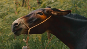 Êta Mundo Melhor - Policarpo