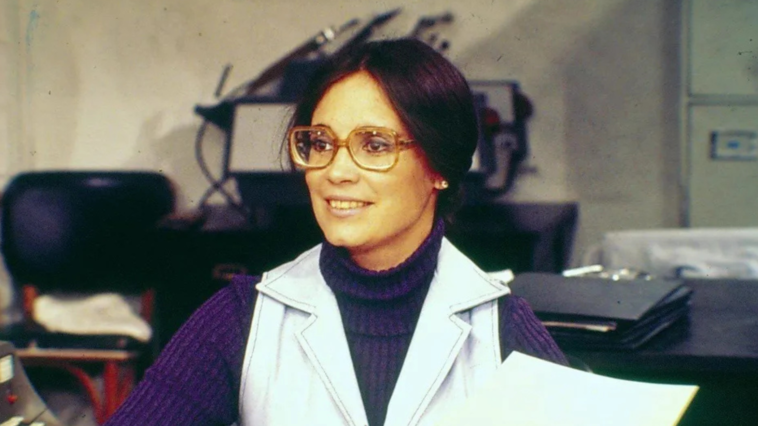 Malu Mulher - Regina Duarte